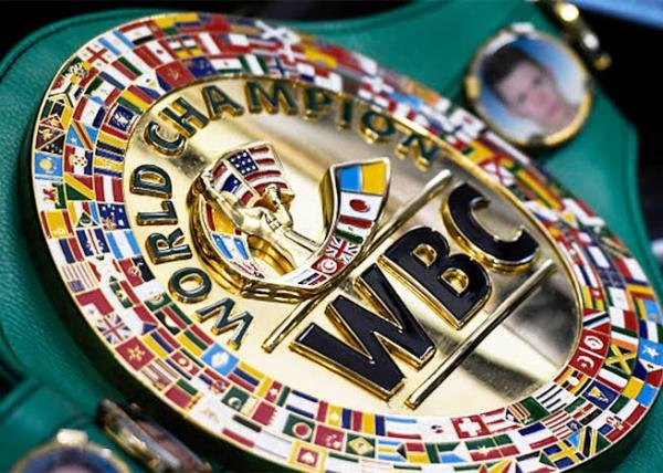 WBO Desak Sheeraz dan Zhanibek Segera Capai Kesepakatan Pertarungan